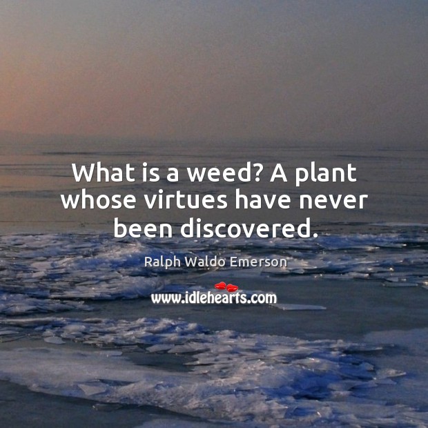 What is a weed? a plant whose virtues have never been discovered. Ralph Waldo Emerson Picture Quote