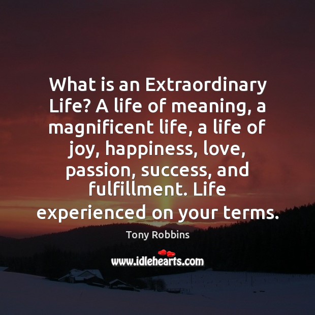 What is an Extraordinary Life? A life of meaning, a magnificent life, Image