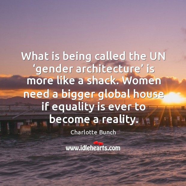 What is being called the un ‘gender architecture’ is more like a shack. Charlotte Bunch Picture Quote