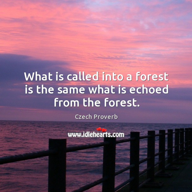 What is called into a forest is the same what is echoed from the forest. Czech Proverbs Image