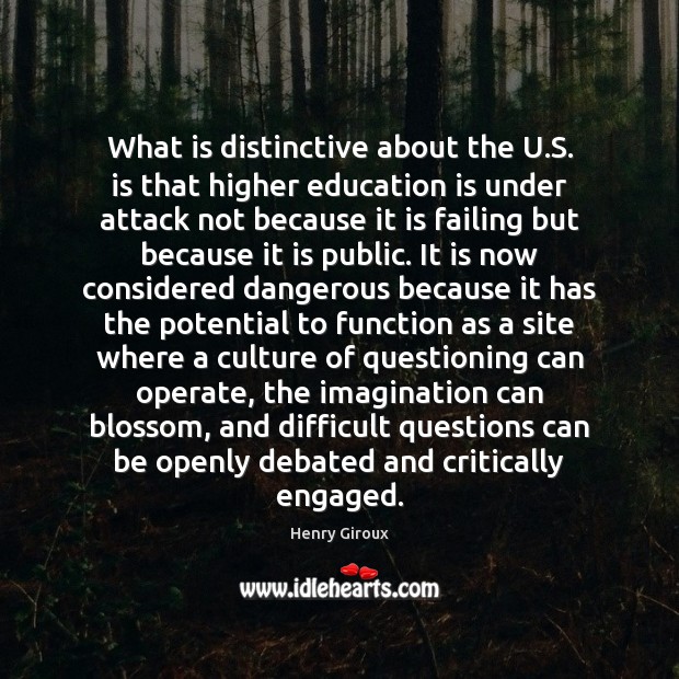 What is distinctive about the U.S. is that higher education is Image