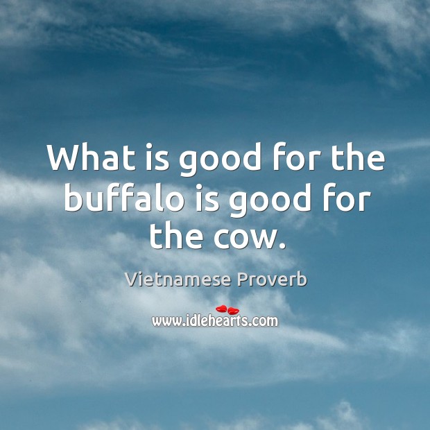 What is good for the buffalo is good for the cow. Vietnamese Proverbs Image