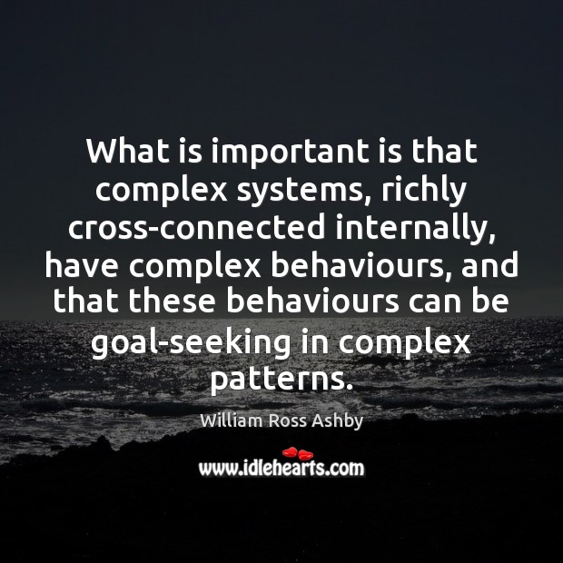 What is important is that complex systems, richly cross-connected internally, have complex Image