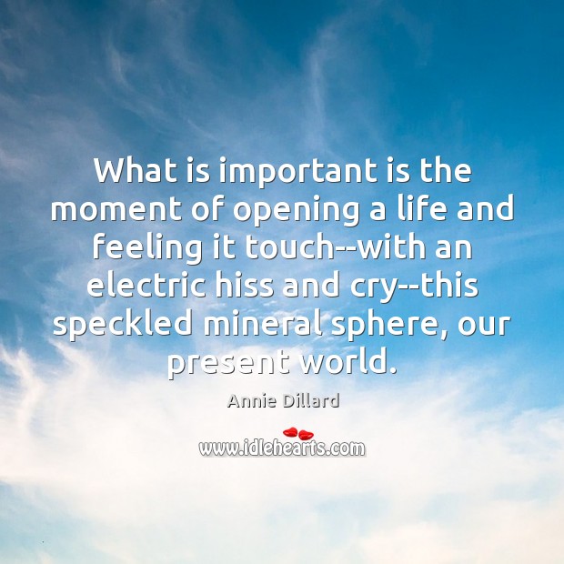 What is important is the moment of opening a life and feeling Image