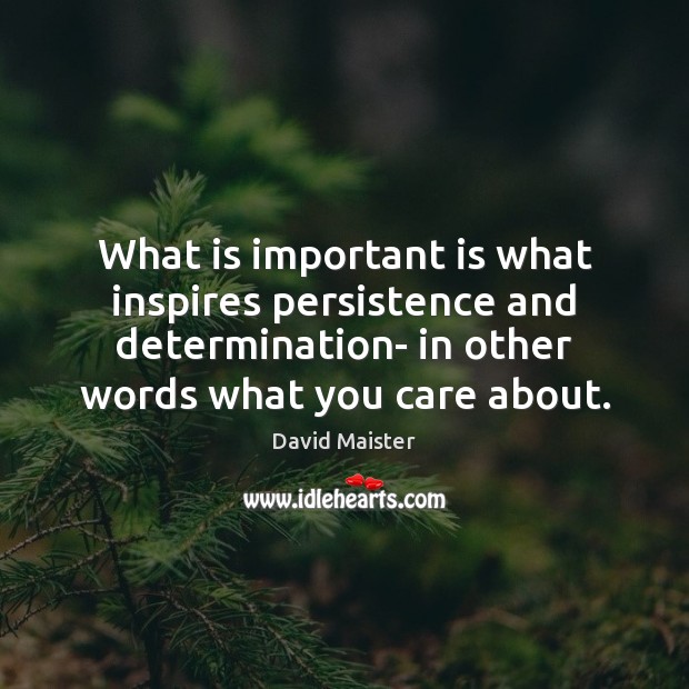 What is important is what inspires persistence and determination- in other words David Maister Picture Quote