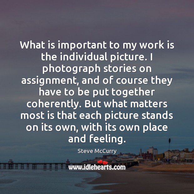 What is important to my work is the individual picture. I photograph Steve McCurry Picture Quote