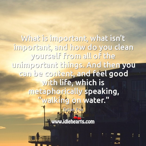 What is important, what isn’t important, and how do you clean yourself Eytan Fox Picture Quote