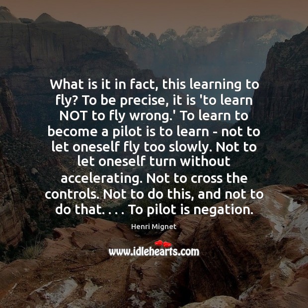 What is it in fact, this learning to fly? To be precise, Henri Mignet Picture Quote