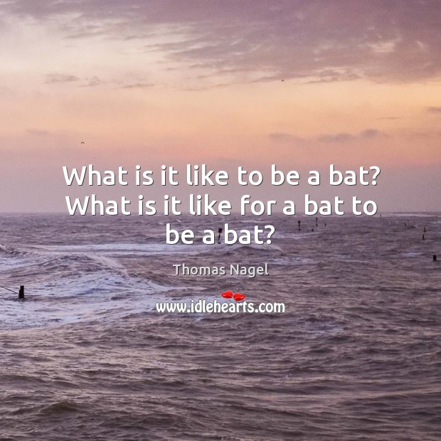 What is it like to be a bat? What is it like for a bat to be a bat? Thomas Nagel Picture Quote