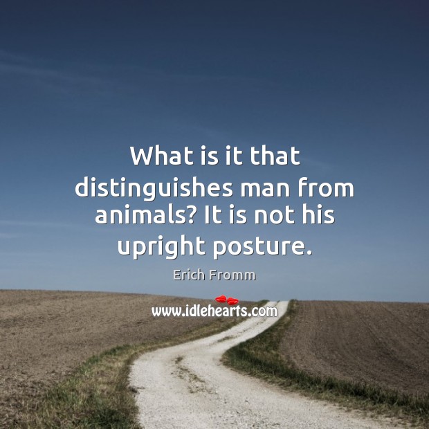 What is it that distinguishes man from animals? It is not his upright posture. Erich Fromm Picture Quote