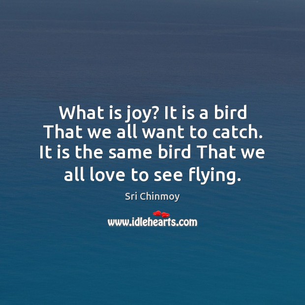 What is joy? It is a bird That we all want to Image