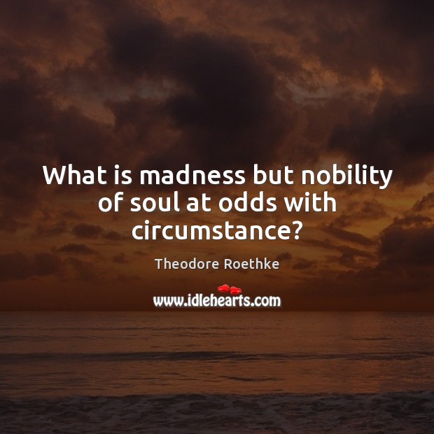 What is madness but nobility of soul at odds with circumstance? Theodore Roethke Picture Quote