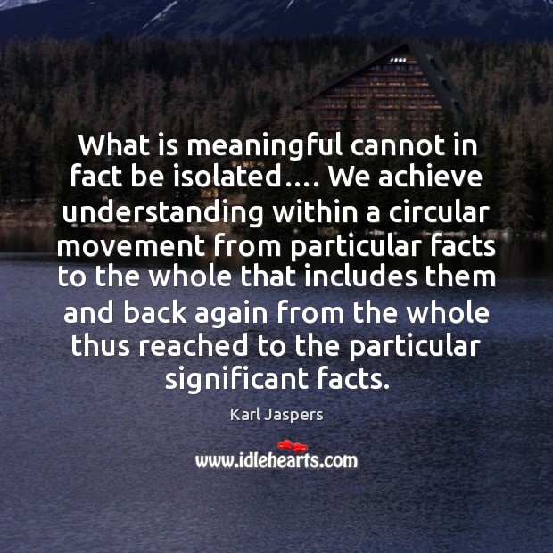 What is meaningful cannot in fact be isolated…. We achieve understanding within Image