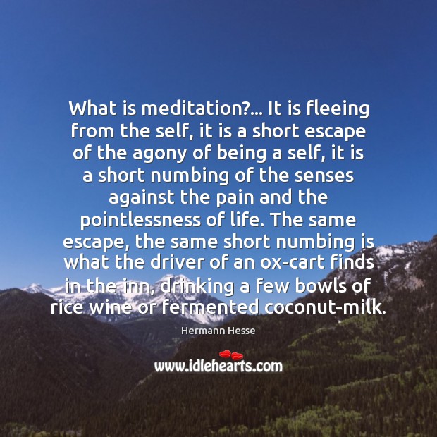 What is meditation?… It is fleeing from the self, it is a Hermann Hesse Picture Quote