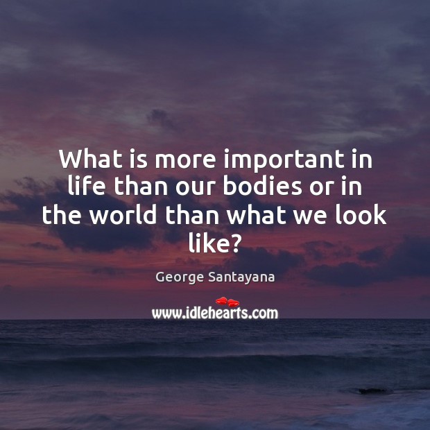What is more important in life than our bodies or in the world than what we look like? George Santayana Picture Quote