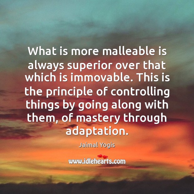 What is more malleable is always superior over that which is immovable. Jaimal Yogis Picture Quote