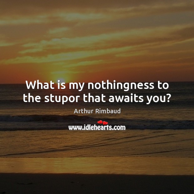 What is my nothingness to the stupor that awaits you? Arthur Rimbaud Picture Quote