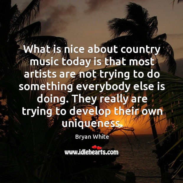 What is nice about country music today is that most artists are not trying to do something Image