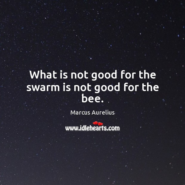 What is not good for the swarm is not good for the bee. Marcus Aurelius Picture Quote