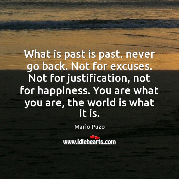 What is past is past. never go back. Not for excuses. Not Mario Puzo Picture Quote