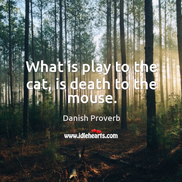 What is play to the cat, is death to the mouse. Danish Proverbs Image