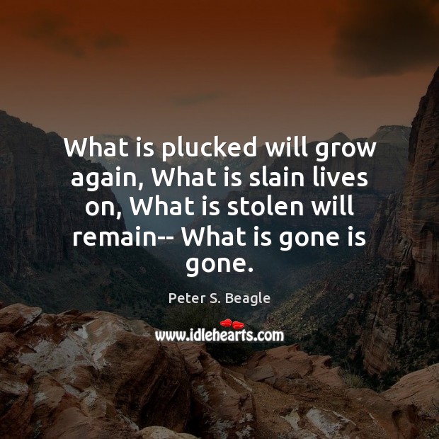 What is plucked will grow again, What is slain lives on, What Peter S. Beagle Picture Quote
