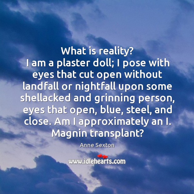 What is reality? I am a plaster doll; I pose with eyes that cut open without landfall Anne Sexton Picture Quote