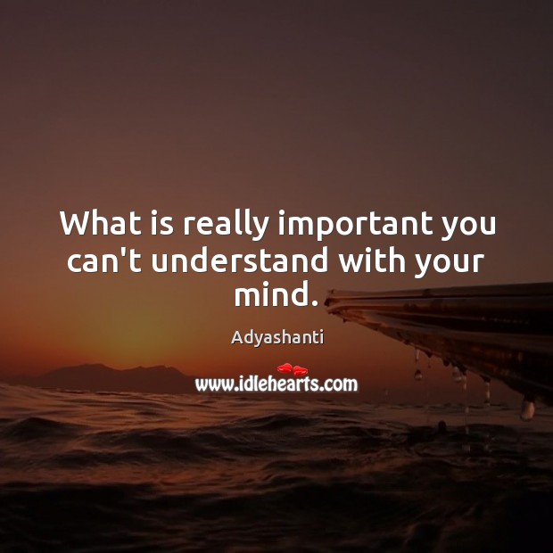What is really important you can’t understand with your mind. Adyashanti Picture Quote