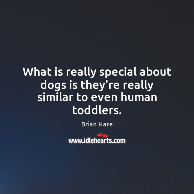 What is really special about dogs is they’re really similar to even human toddlers. Image