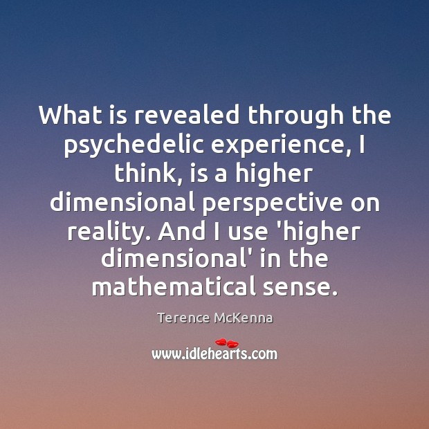 What is revealed through the psychedelic experience, I think, is a higher Image