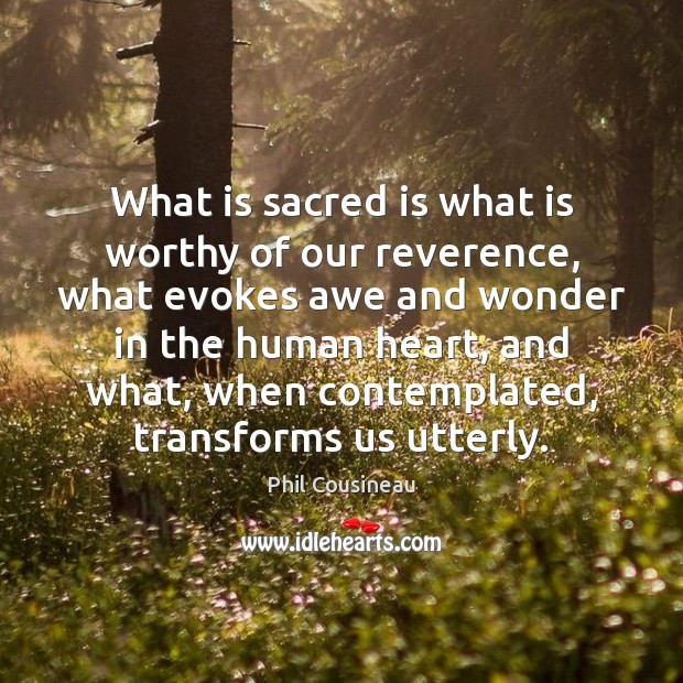 What is sacred is what is worthy of our reverence, what evokes Phil Cousineau Picture Quote