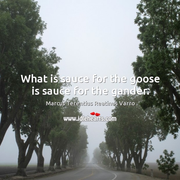 What is sauce for the goose is sauce for the gander. Marcus Terentius Reatinus Varro Picture Quote