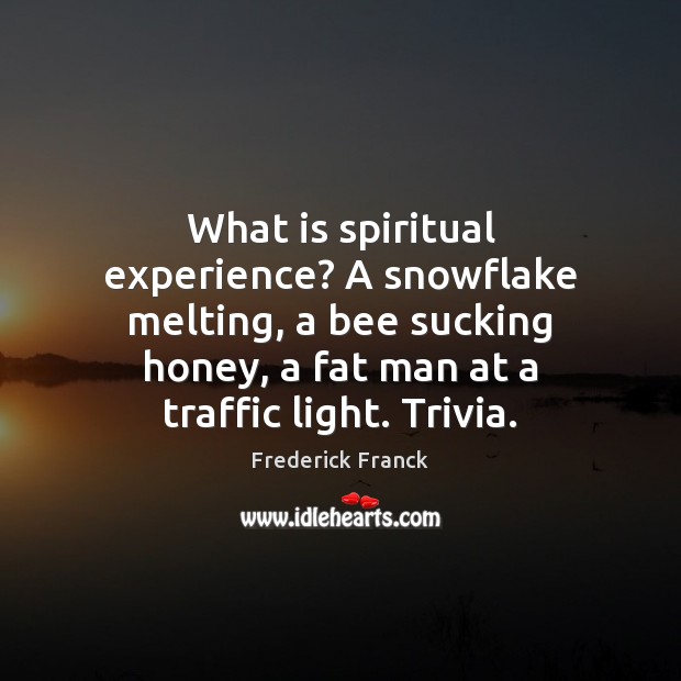 What is spiritual experience? A snowflake melting, a bee sucking honey, a Frederick Franck Picture Quote