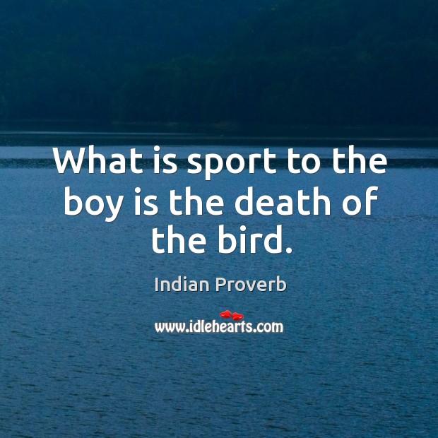What is sport to the boy is the death of the bird. Image