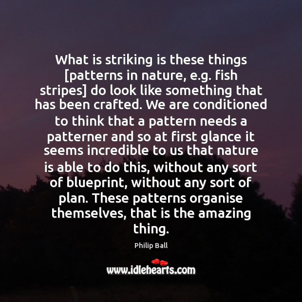 What is striking is these things [patterns in nature, e.g. fish Philip Ball Picture Quote