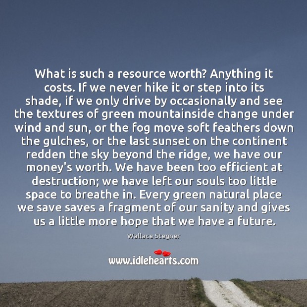 What is such a resource worth? Anything it costs. If we never Wallace Stegner Picture Quote