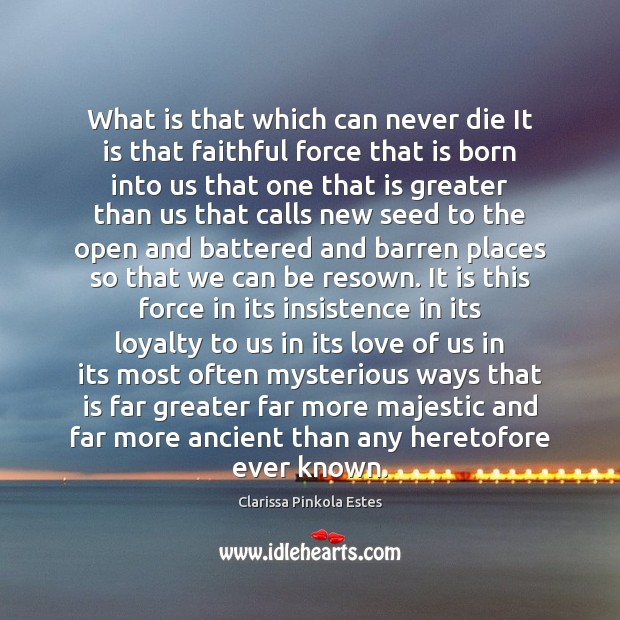 What is that which can never die It is that faithful force Clarissa Pinkola Estes Picture Quote