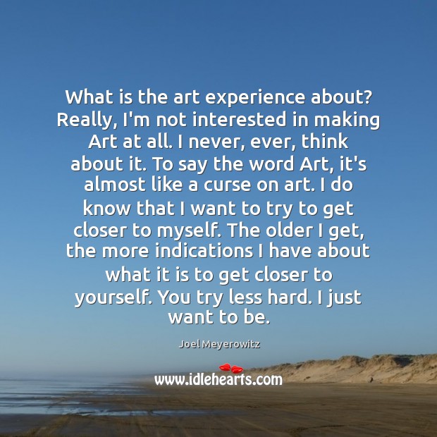 What is the art experience about? Really, I’m not interested in making Joel Meyerowitz Picture Quote