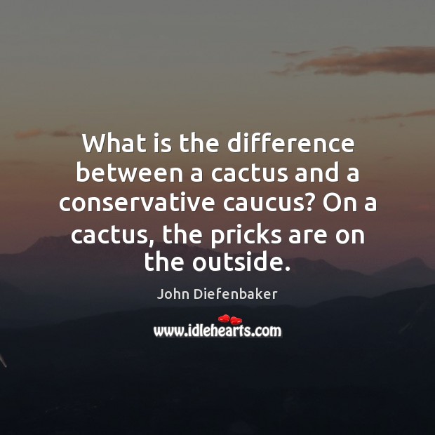What is the difference between a cactus and a conservative caucus? On Image