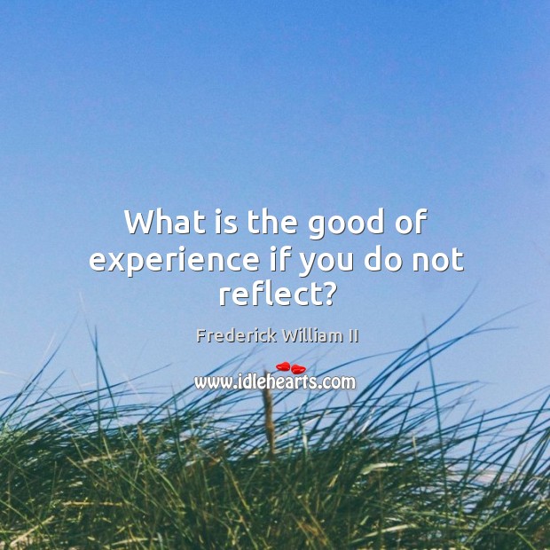 What is the good of experience if you do not reflect? Frederick William II Picture Quote