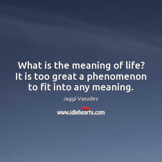 What is the meaning of life? It is too great a phenomenon to fit into any meaning. Jaggi Vasudev Picture Quote