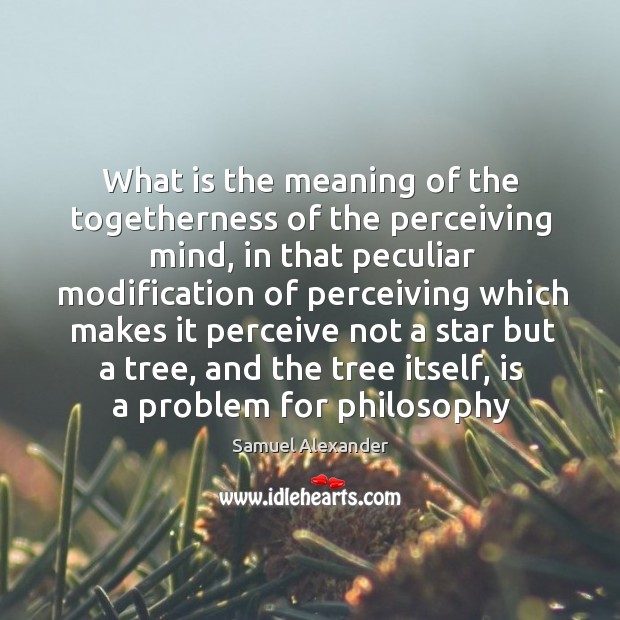 What is the meaning of the togetherness of the perceiving mind, in Image