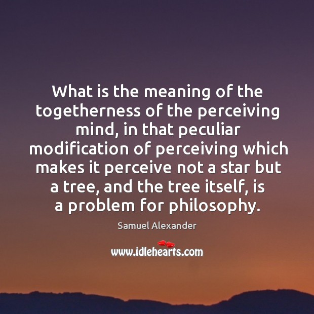 What is the meaning of the togetherness of the perceiving mind Samuel Alexander Picture Quote
