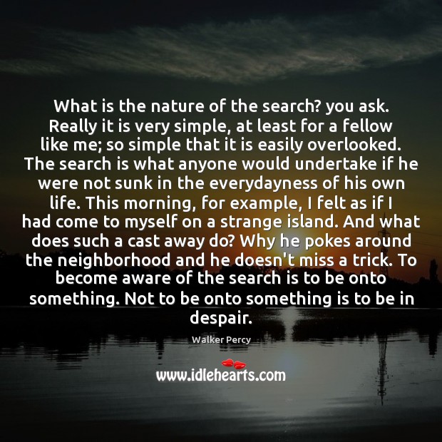 What is the nature of the search? you ask. Really it is Image