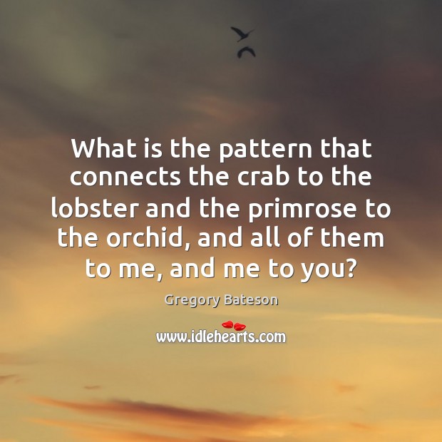 What is the pattern that connects the crab to the lobster and Gregory Bateson Picture Quote