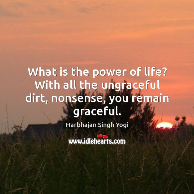 What is the power of life? With all the ungraceful dirt, nonsense, you remain graceful. Harbhajan Singh Yogi Picture Quote