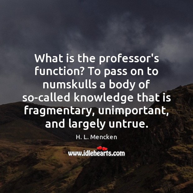 What is the professor’s function? To pass on to numskulls a body Image