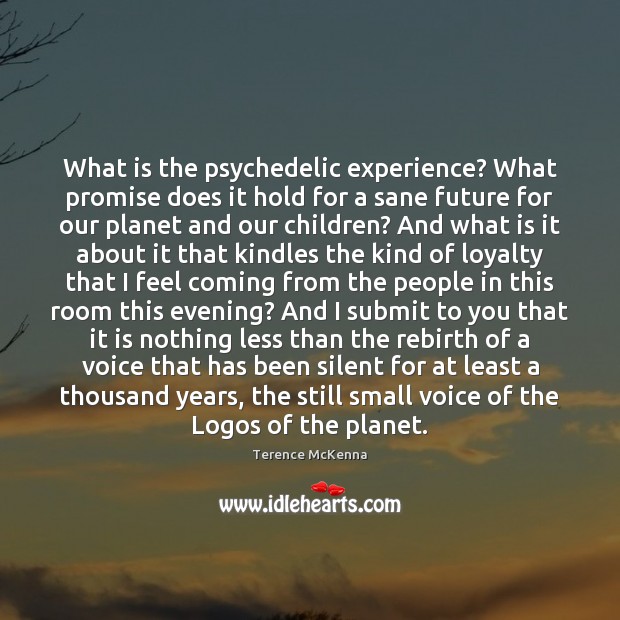 What is the psychedelic experience? What promise does it hold for a Terence McKenna Picture Quote