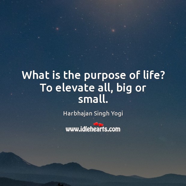 What is the purpose of life? To elevate all, big or small. Harbhajan Singh Yogi Picture Quote