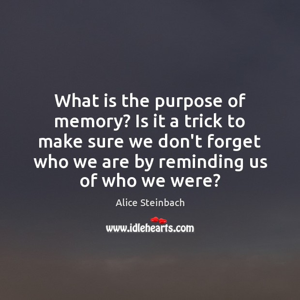 What is the purpose of memory? Is it a trick to make Alice Steinbach Picture Quote